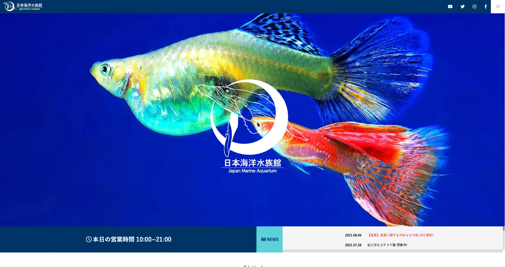 日本海洋水族館